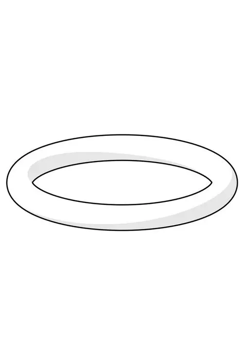 O-Ring in ovaler Form, mit klaren Konturen, sichtbar in weißer Farbe, geeignet für Dichtungsanwendungen, hergestellt von der Marke HANSA.